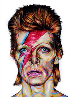 Joshua RomanArt titleDavid Bowie 20X16 <or> 28X24F